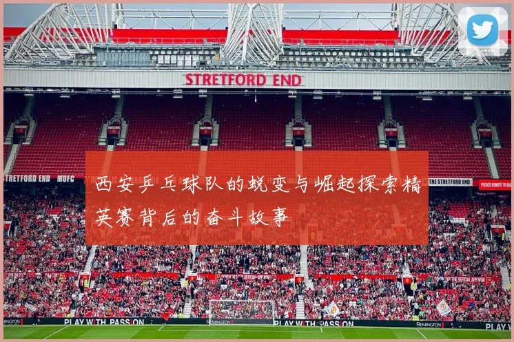 西安乒乓球队的蜕变与崛起探索精英赛背后的奋斗故事