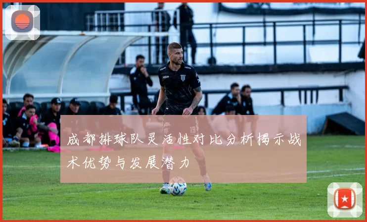成都排球队灵活性对比分析揭示战术优势与发展潜力